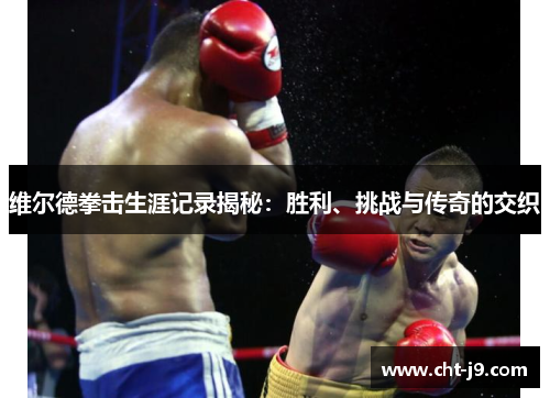 维尔德拳击生涯记录揭秘：胜利、挑战与传奇的交织